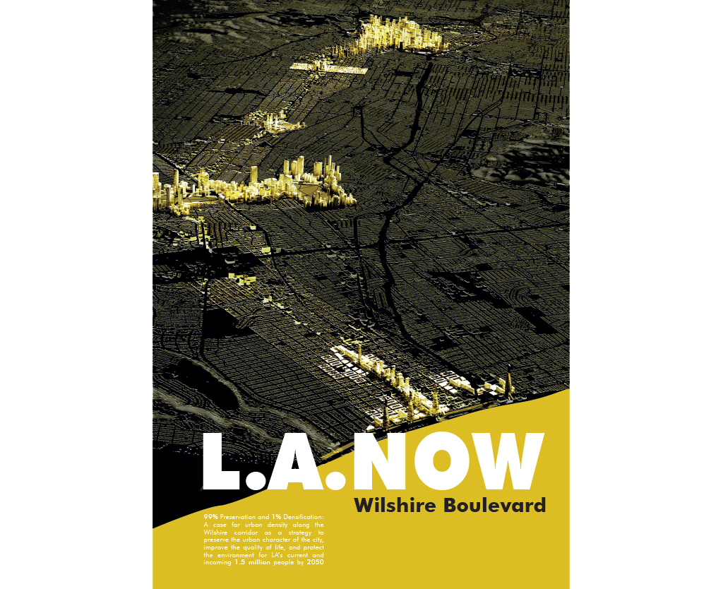 Wilshire Publicataion cover.png