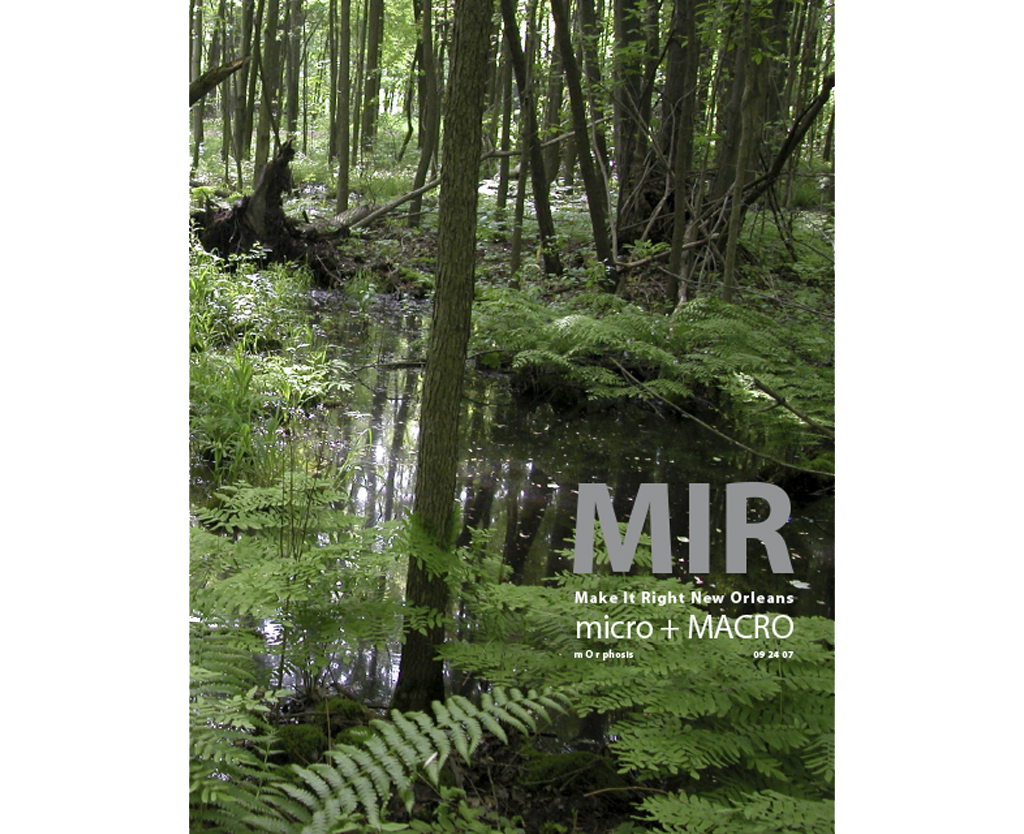 new orleans cover.png